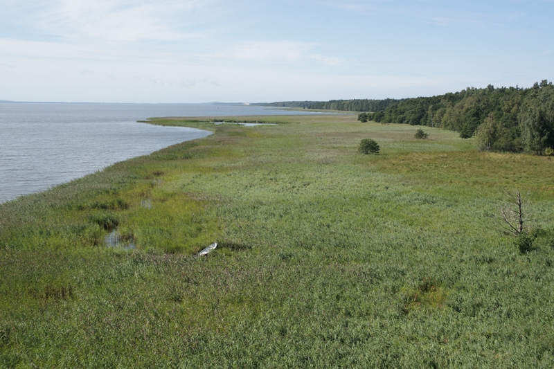 View on a meadow close to a lake.